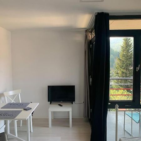 Gemuetliches Einzimmer-Apartment 33 Bad Wildbad Exterior photo