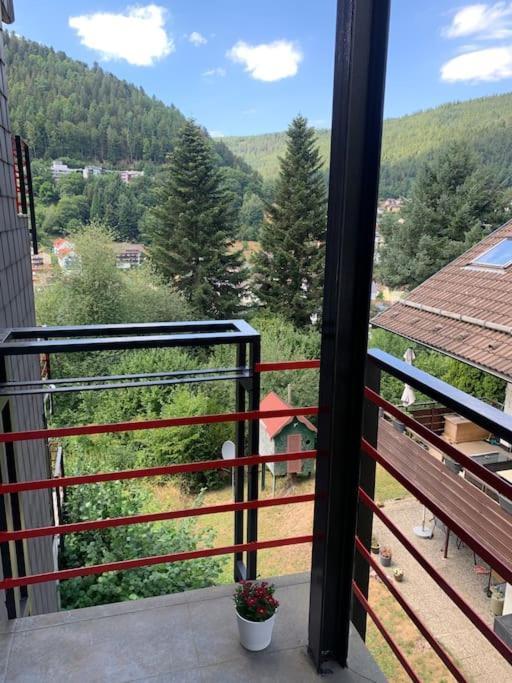 Gemuetliches Einzimmer-Apartment 33 Bad Wildbad Exterior photo
